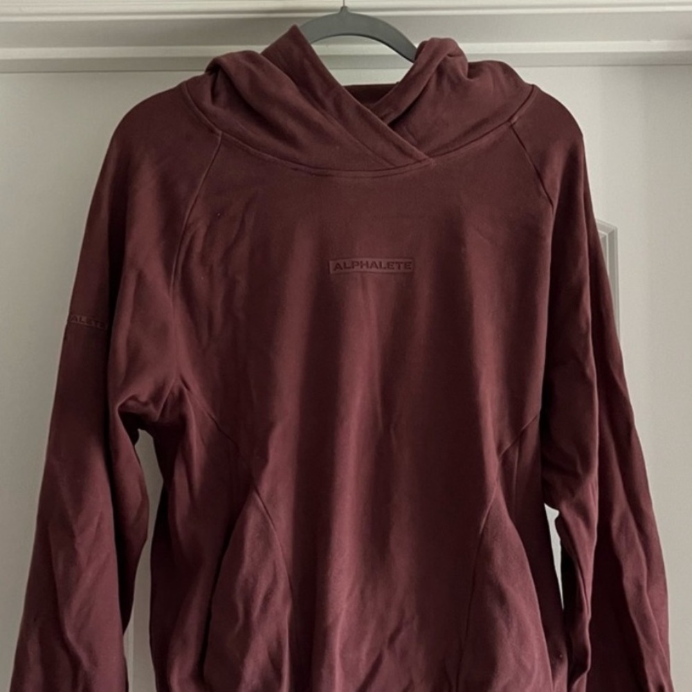 Alphalete Identity Pro Hoodie- Mahogany - Picture 3 of 3